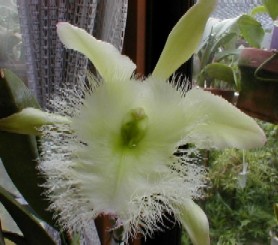 ������������������